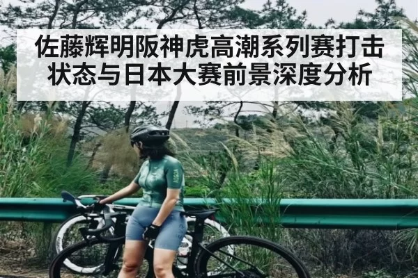 佐藤辉明阪神虎高潮系列赛打击状态与日本大赛前景深度分析